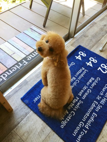 Processed with MOLDIV