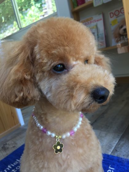 2016-08-12 11.58.40 HDR