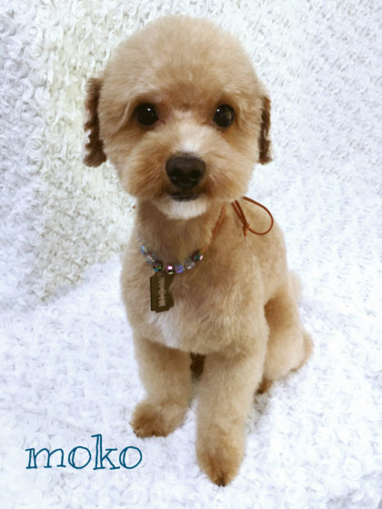 2016-08-15 12.51.02-1