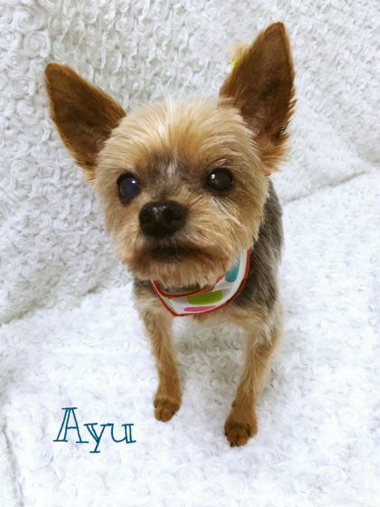 2016-08-15 14.57.32-1