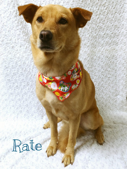 Processed with MOLDIV