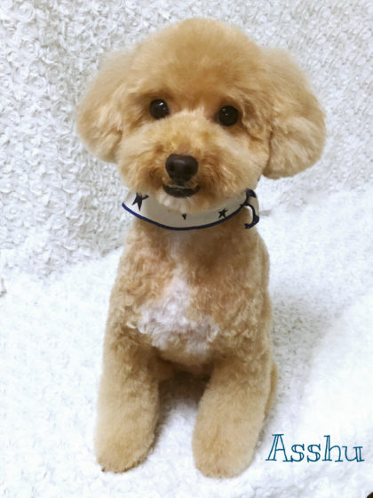 2016-08-16 12.57.23-1