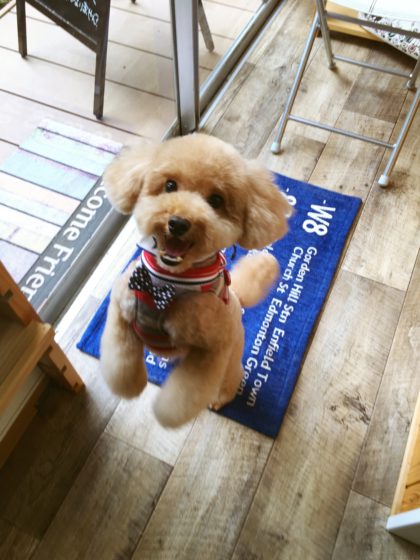 Processed with MOLDIV