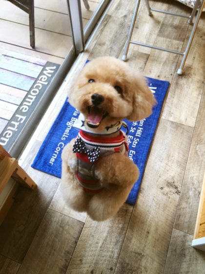 Processed with MOLDIV