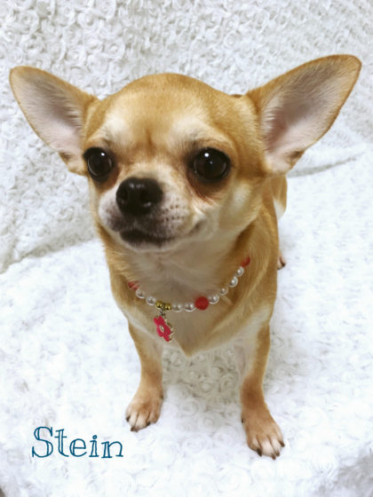 Processed with MOLDIV