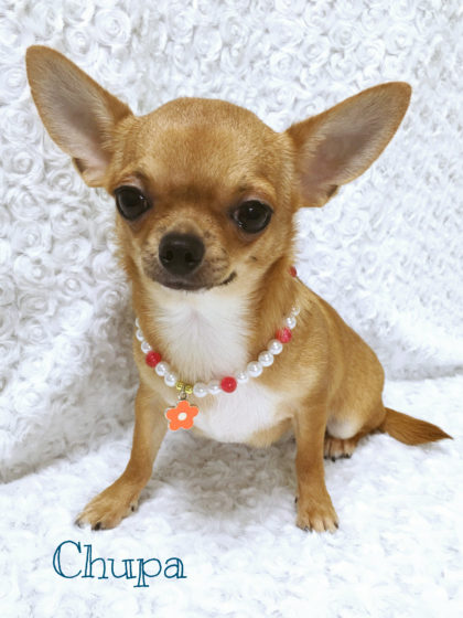 Processed with MOLDIV