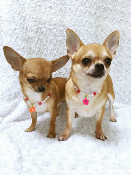 Processed with MOLDIV