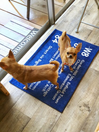 Processed with MOLDIV