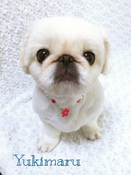 Processed with MOLDIV