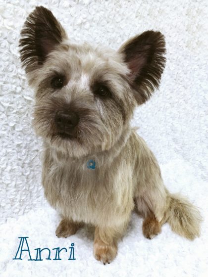 2016-08-17 15.11.12-1