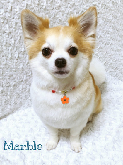 Processed with MOLDIV