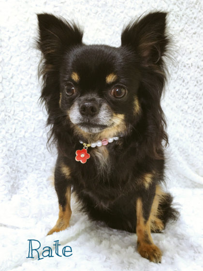 Processed with MOLDIV