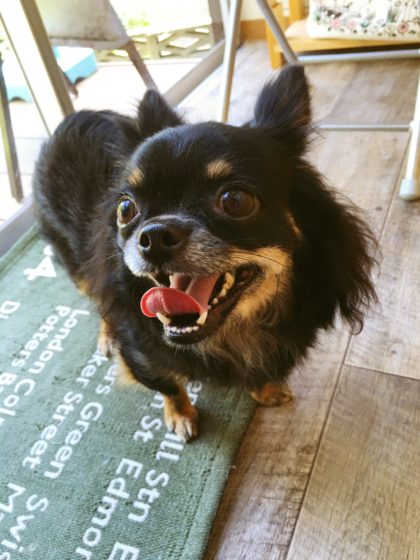 Processed with MOLDIV