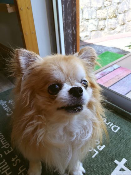 Processed with MOLDIV