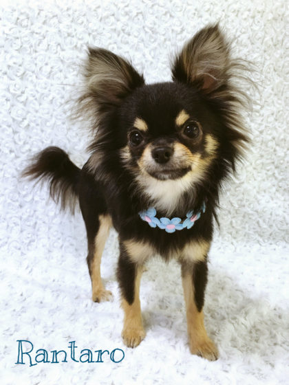 Processed with MOLDIV