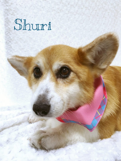 Processed with MOLDIV