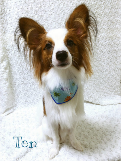 Processed with MOLDIV