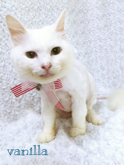 2016-08-25 12.40.14-1