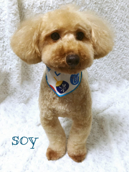 2016-08-25 17.41.06-3