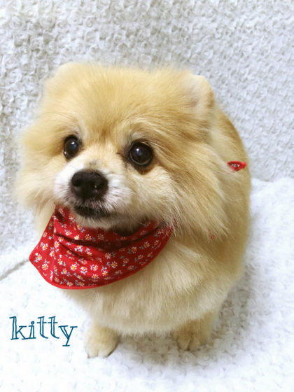 2016-08-29 11.30.24-1