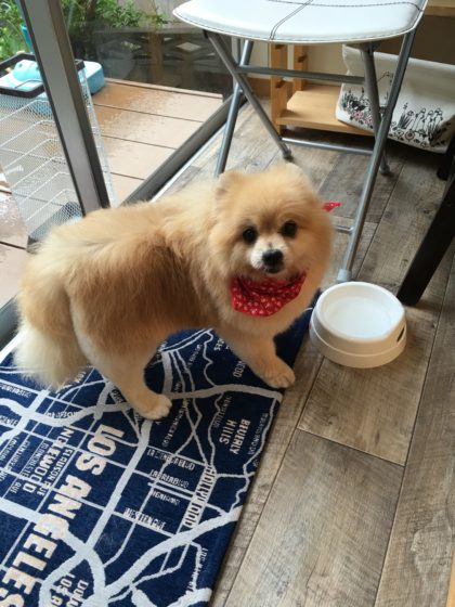 2016-08-29 11.38.00-1