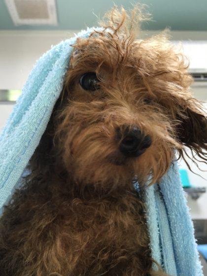 Processed with MOLDIV