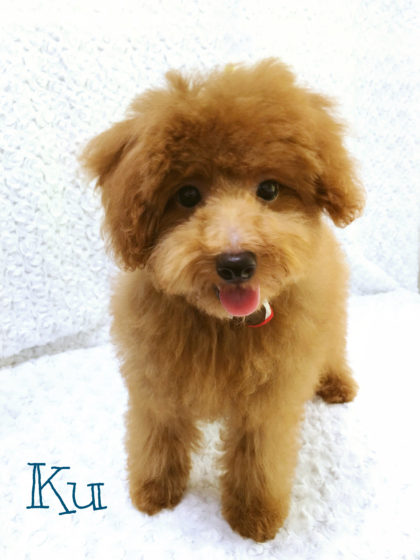 2016-08-30 12.07.51-1