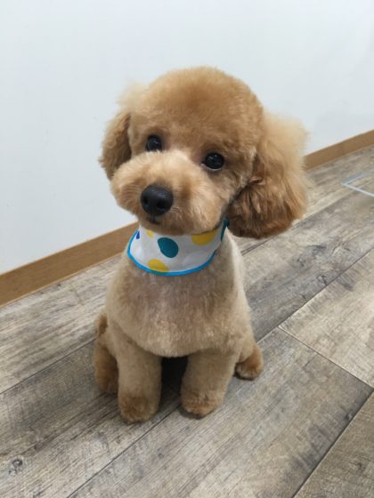 2016-09-01 13.58.54-1