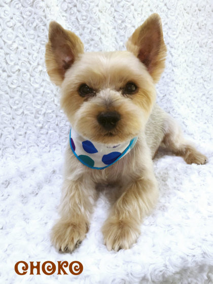 Processed with MOLDIV