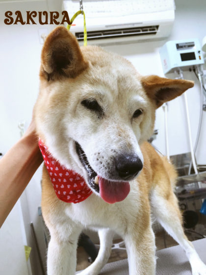 Processed with MOLDIV