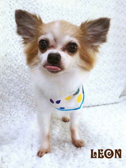 Processed with MOLDIV