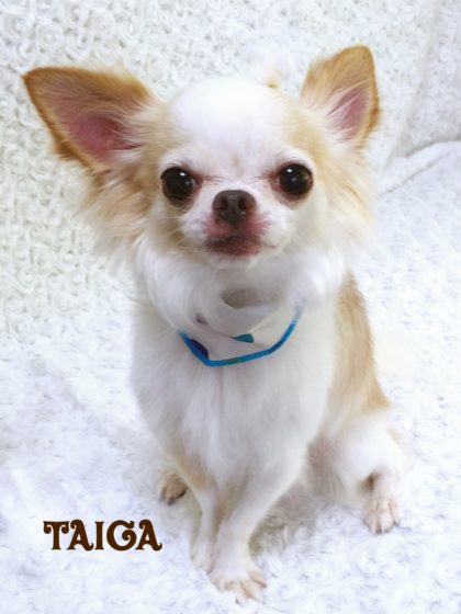 2016-09-06 12.57.12-2