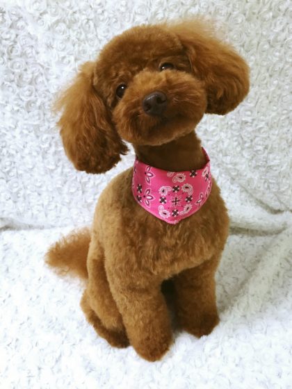 Processed with MOLDIV