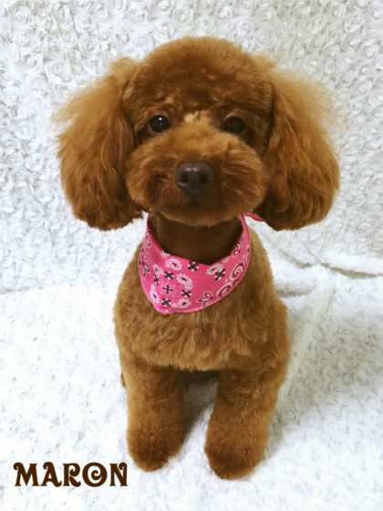 Processed with MOLDIV