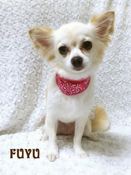 Processed with MOLDIV