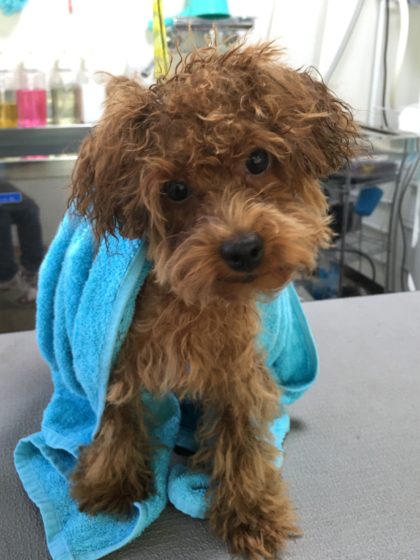 Processed with MOLDIV