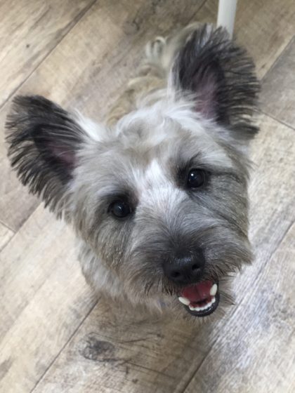 Processed with MOLDIV