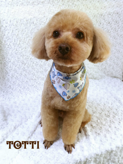 Processed with MOLDIV