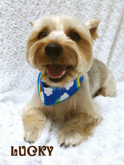 Processed with MOLDIV