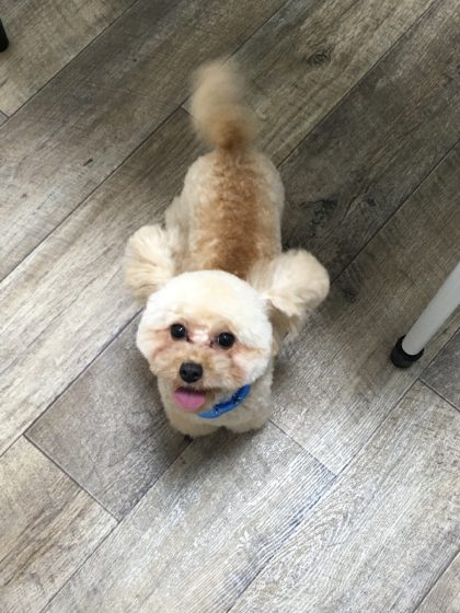 Processed with MOLDIV