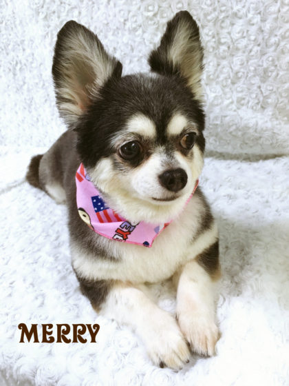 Processed with MOLDIV