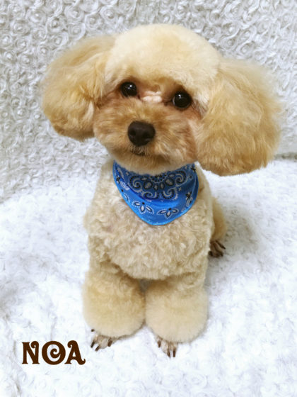 Processed with MOLDIV