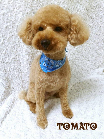 Processed with MOLDIV