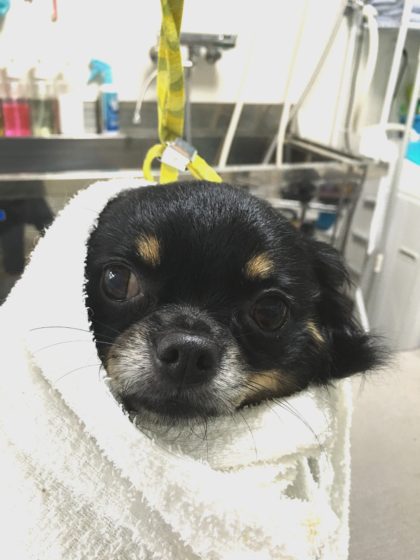 Processed with MOLDIV