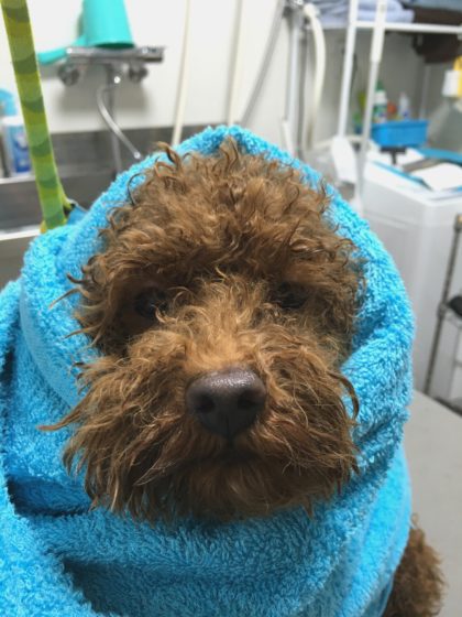 Processed with MOLDIV