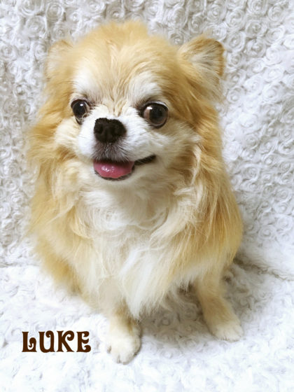 Processed with MOLDIV