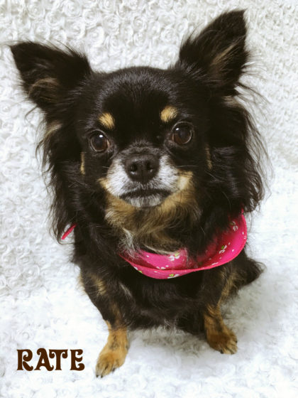 Processed with MOLDIV