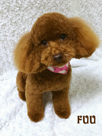 Processed with MOLDIV