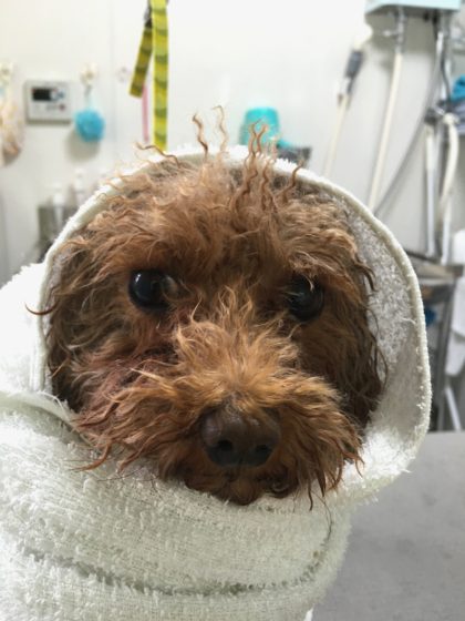 Processed with MOLDIV