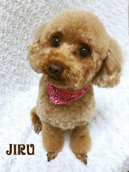 Processed with MOLDIV